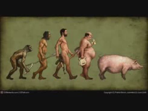 LA EVOLUCION