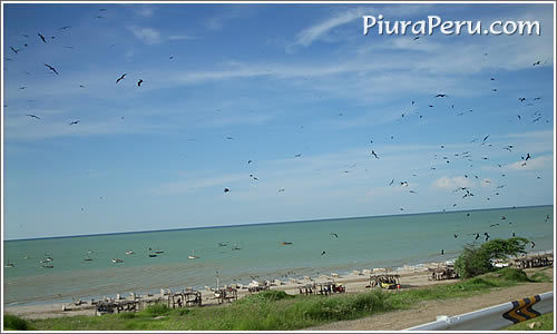 pescadores